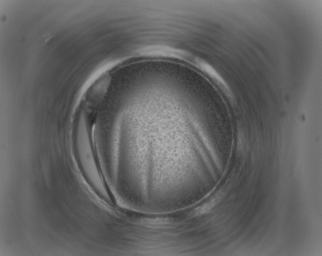 X0000082761376200702091943