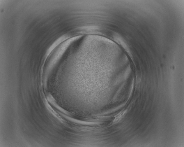 X0000082761386200702091942