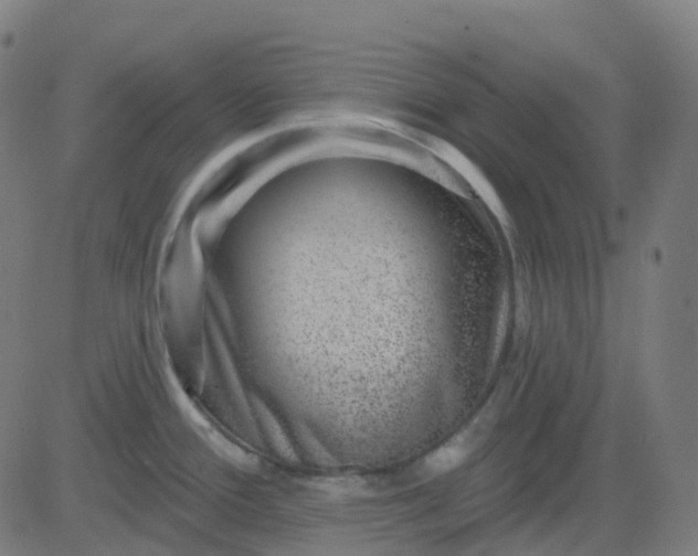 X0000082761388200702091942