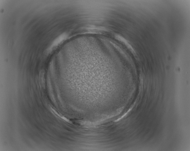 X0000082761403200702091942