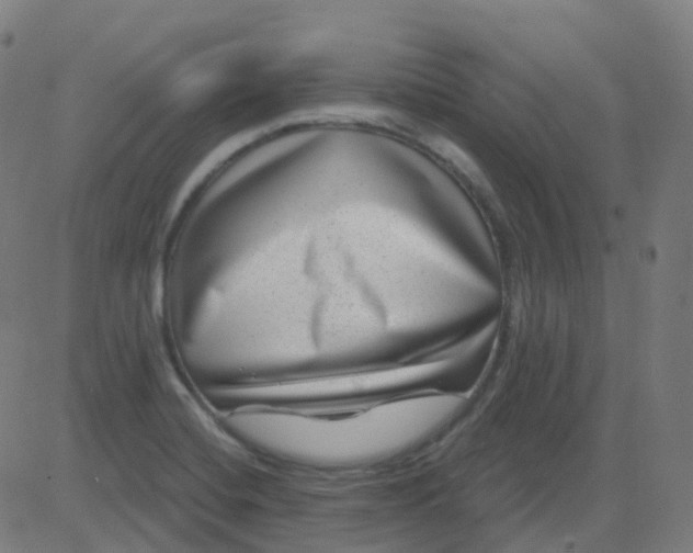 X0000082761420200702091942