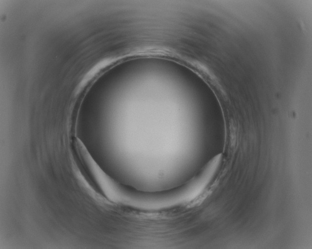 X0000082761422200702091942