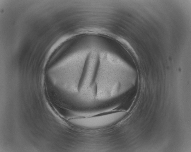 X0000082761424200702091942