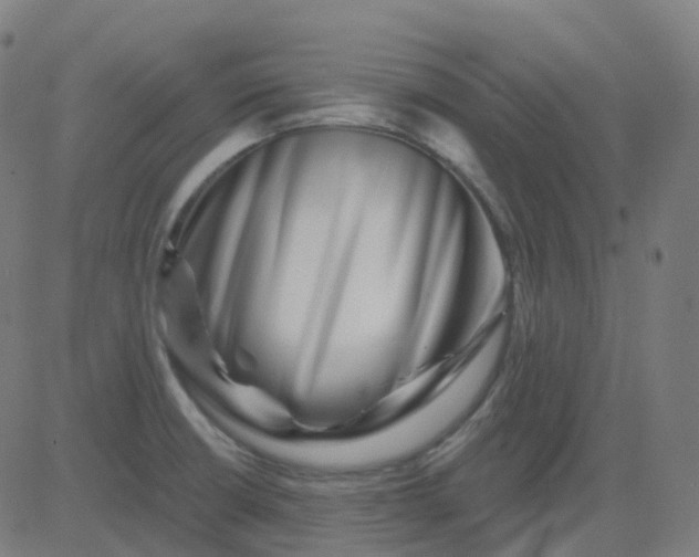 X0000082761426200702091942
