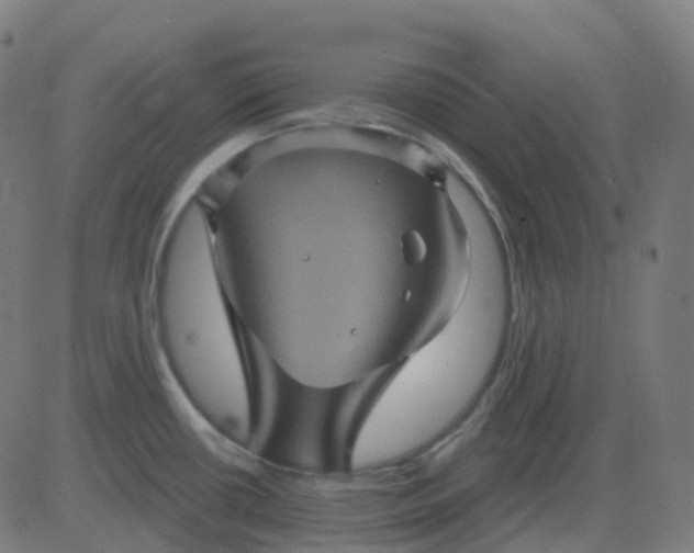 X0000082761434200702091942
