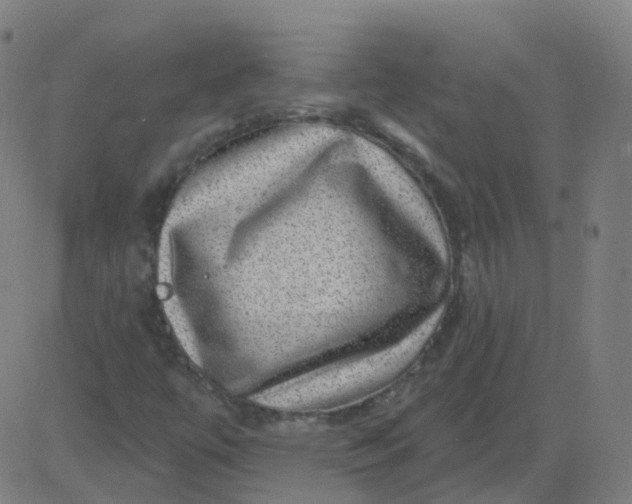 X0000082761447200702091941