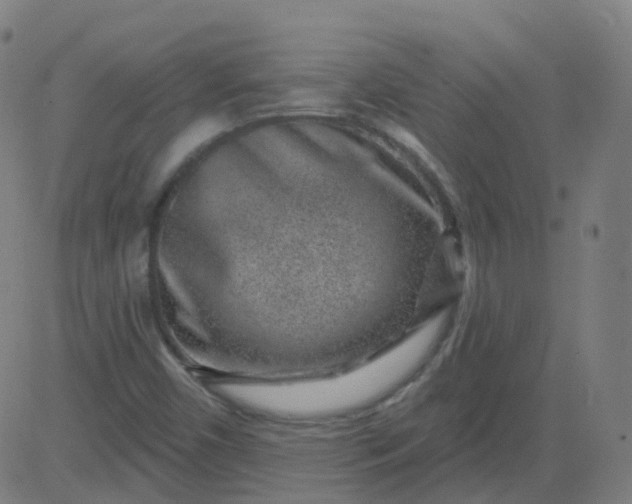 X0000082761450200702091941