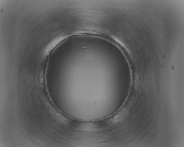X0000082761455200702091941