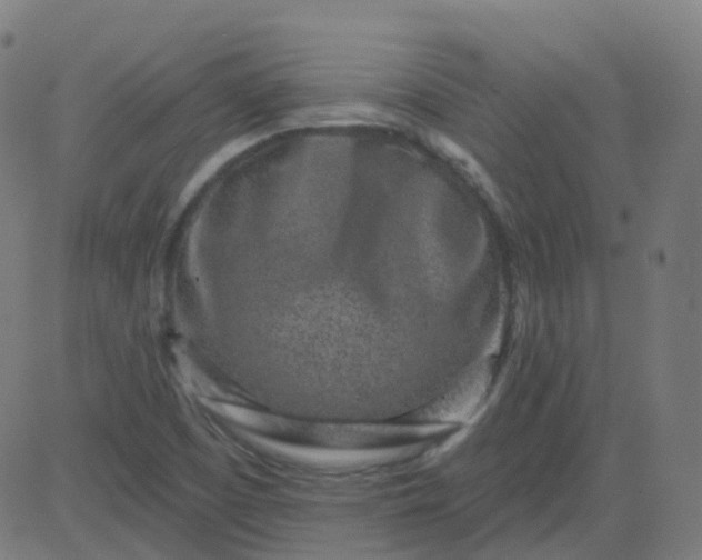 X0000082761457200702091941