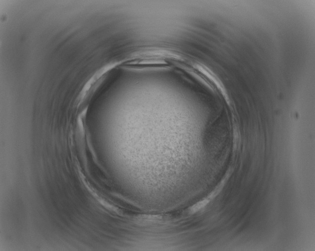 X0000082761481200702091941