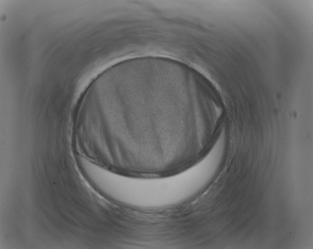 X0000082761508200702091940
