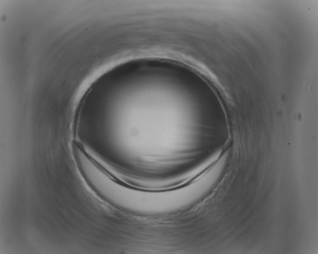 X0000082761512200702091940