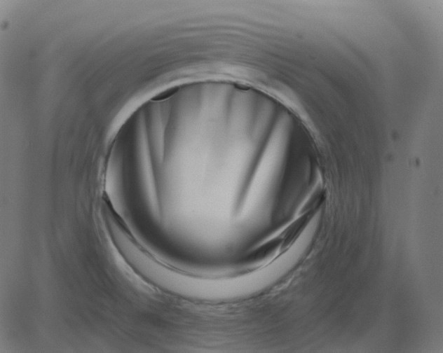 X0000082761524200702091941