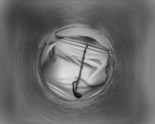 X0000082760001200702162037