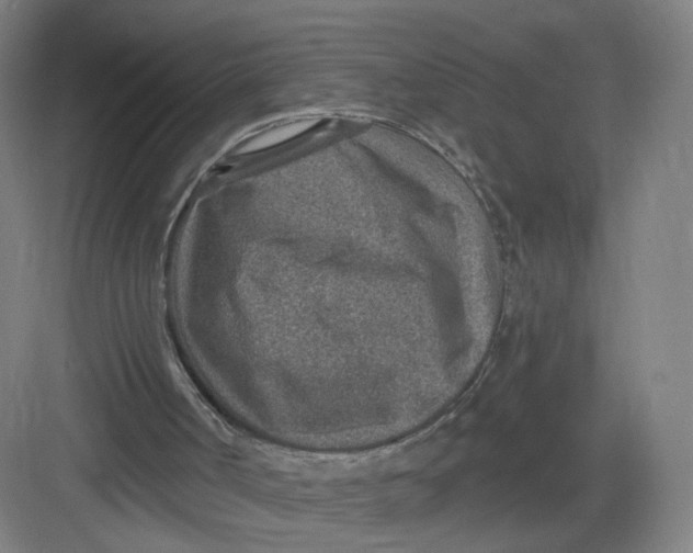 X0000082760002200702162037