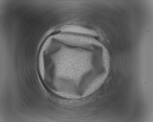 X0000082760003200702162037