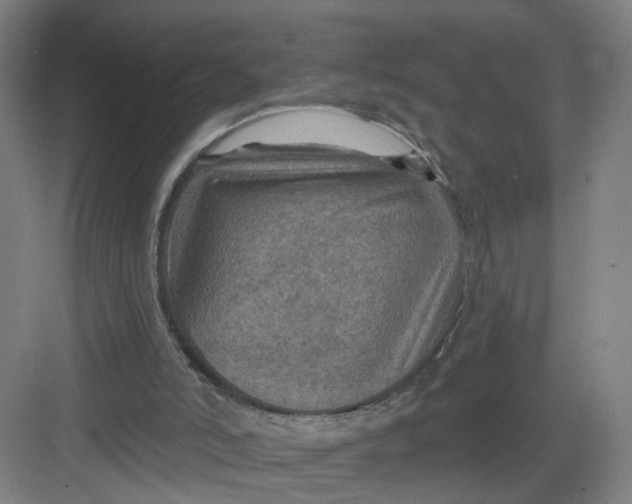 X0000082760006200702162037