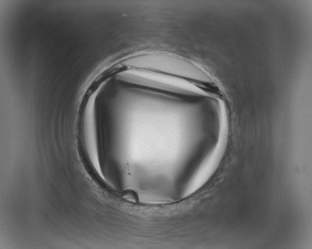 X0000082760007200702162037