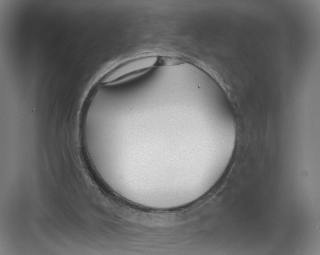 X0000082760008200702162037