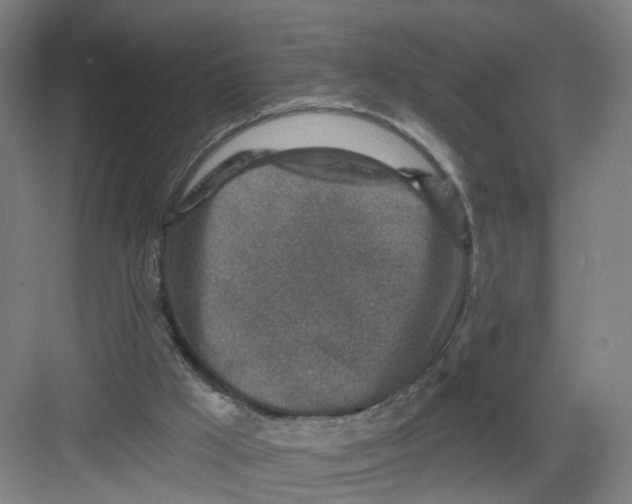 X0000082760009200702162037