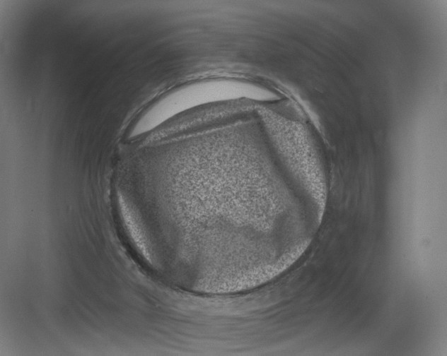 X0000082760010200702162037