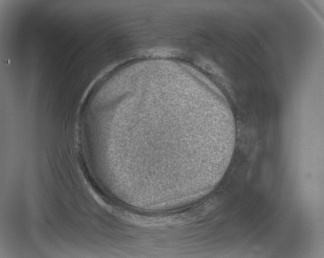 X0000082760012200702162037