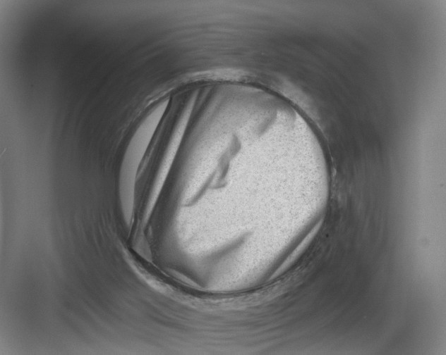 X0000082760013200702162037