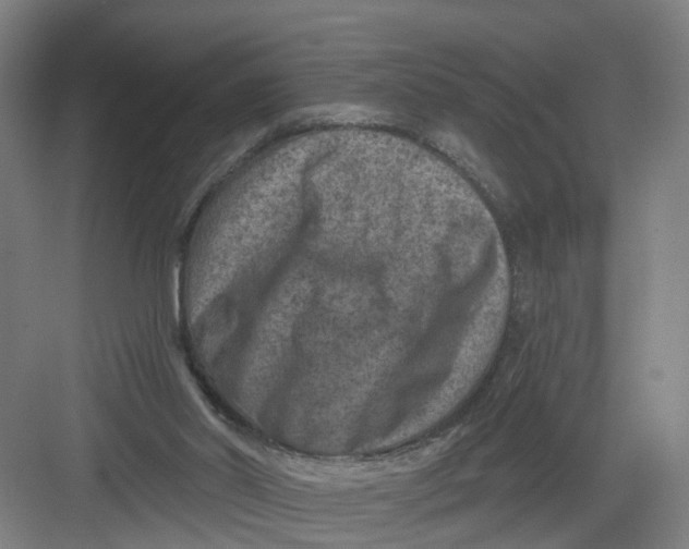 X0000082760014200702162037