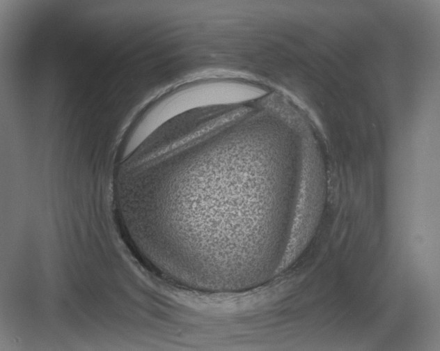 X0000082760015200702162037