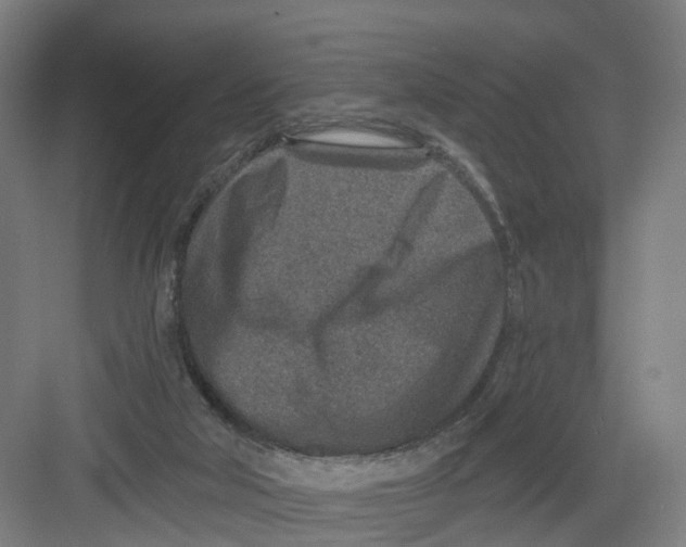 X0000082760018200702162037