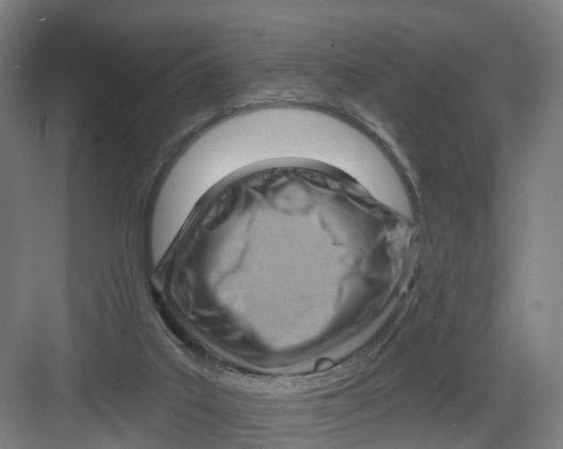 X0000082760019200702162037