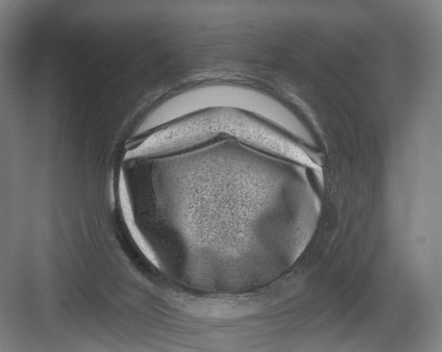 X0000082760020200702162037