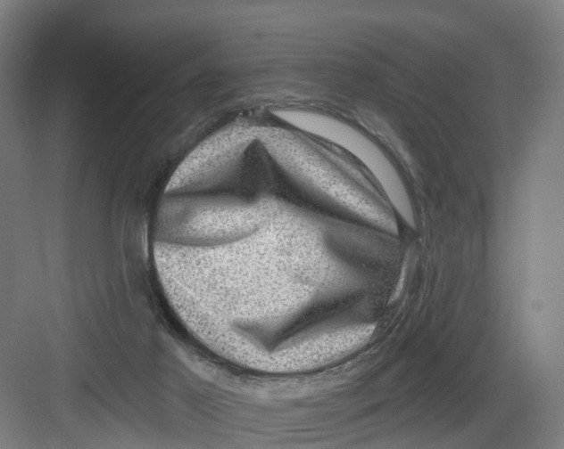 X0000082760021200702162037