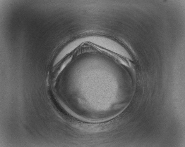 X0000082760023200702162037