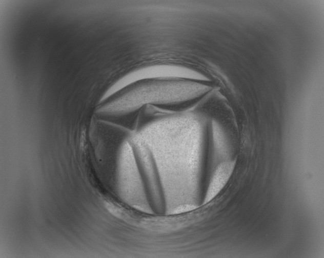 X0000082760025200702162037