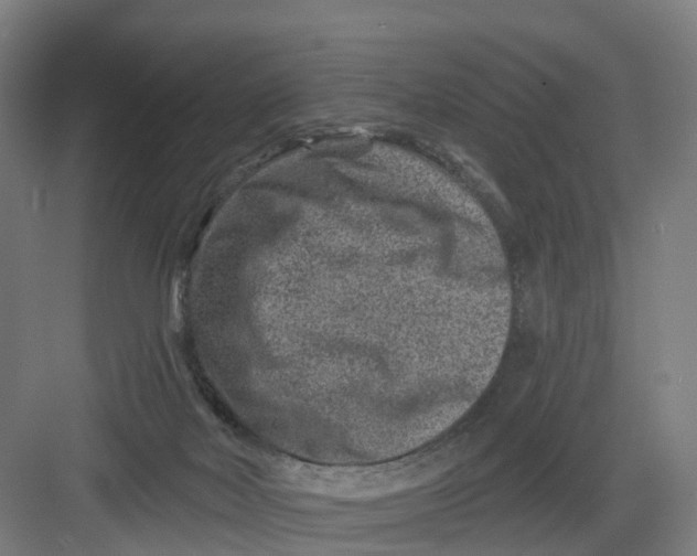 X0000082760026200702162037