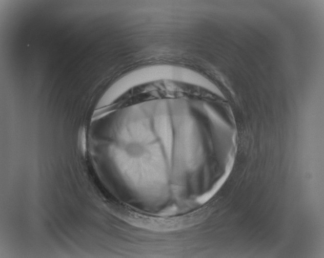 X0000082760027200702162037