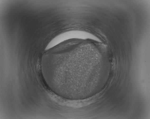 X0000082760029200702162037