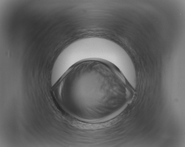 X0000082760031200702162037