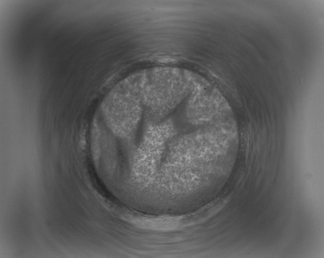 X0000082760032200702162037