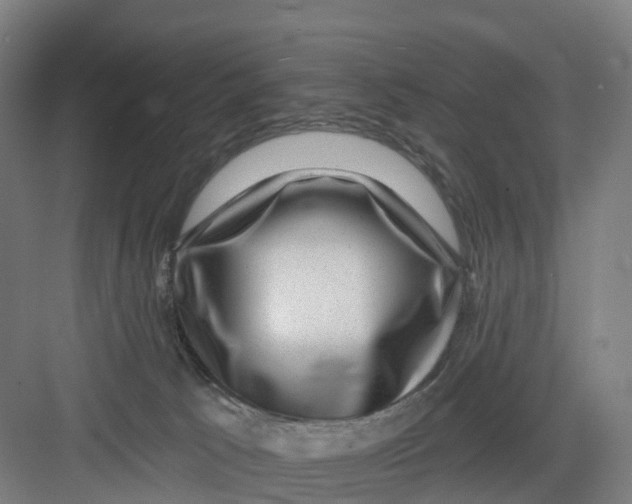 X0000082760033200702162037