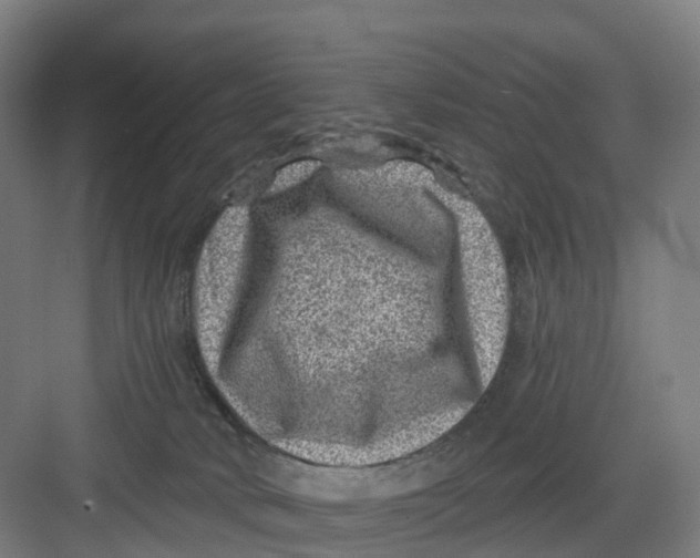 X0000082760034200702162037