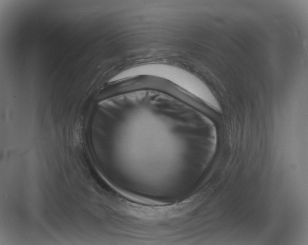 X0000082760035200702162037