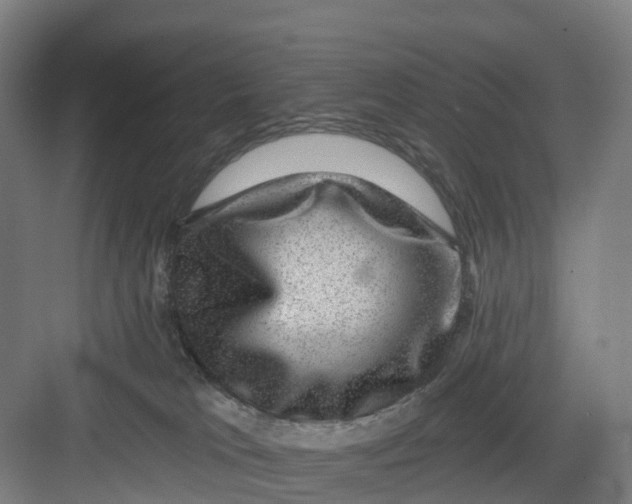 X0000082760037200702162037