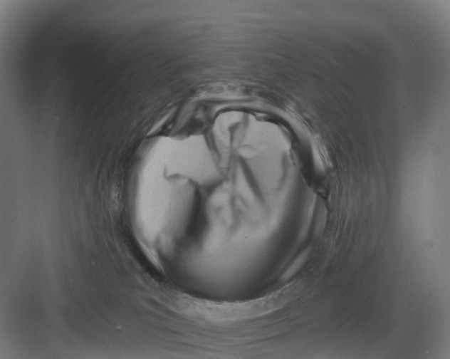 X0000082760039200702162037