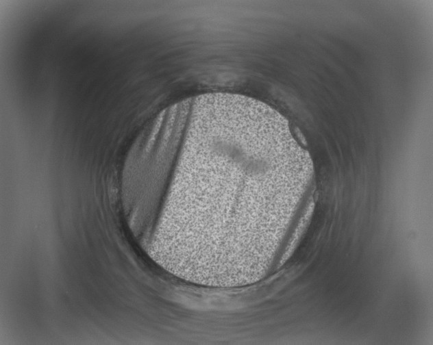 X0000082760040200702162037