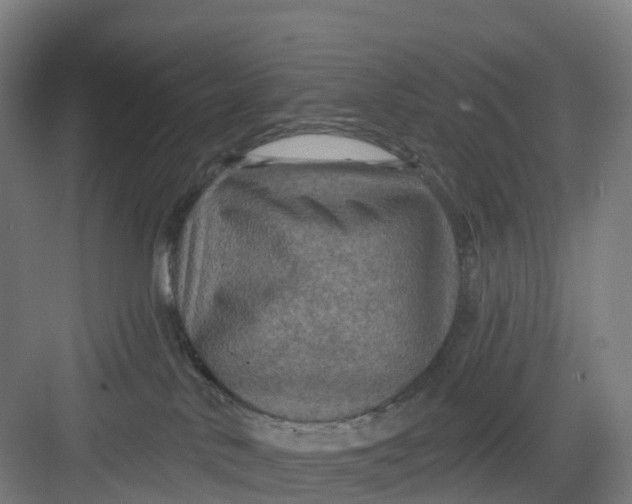 X0000082760042200702162037