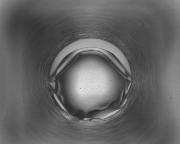 X0000082760045200702162036