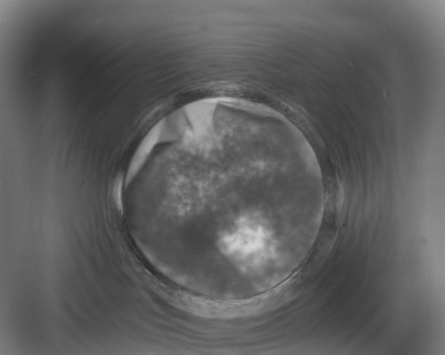 X0000082760047200702162036