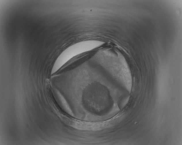 X0000082760048200702162036